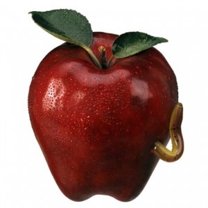 Worm in Apple