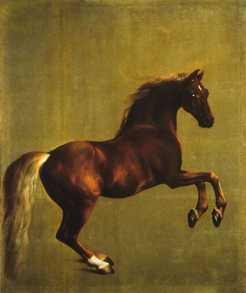 George Stubbs, Whistlejacket, oil on canvas, circa 1762, 115 x 97 in. The National Gallery, London