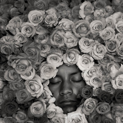 Man in roses (by Russell Monk)