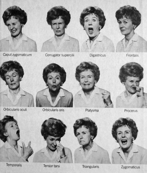 Miss Craig’s Face Saving Exercises