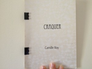 Craquer, Camille Roy, Second Story Books, 2002