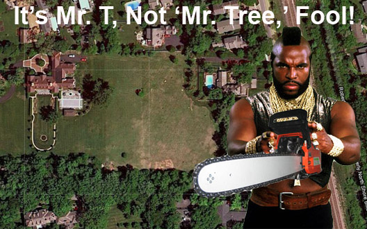 Mr-T-Chainsaw
