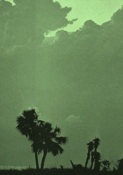 Streets Palm