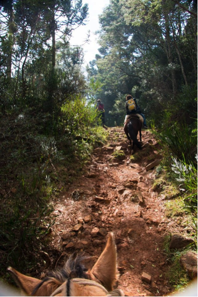 Josely on expedition to Campos Gerais, Laranjeiras Canyon, 2015. (Photos: Pedro Jerónimo Vianna de Faria)