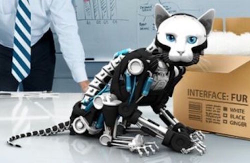 Robot Cat