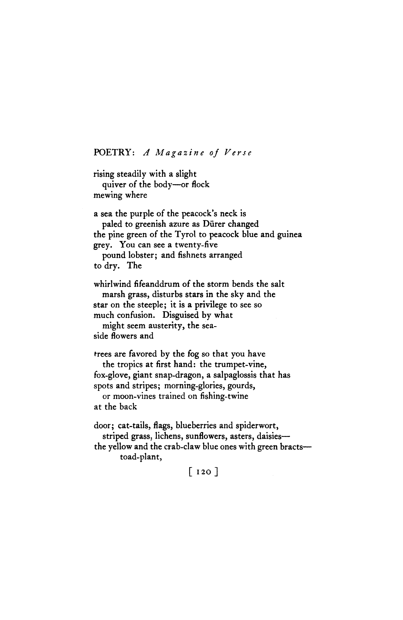 from Part of a Novel, Part of a Poem, Part of a Play: The Steeple-Jack