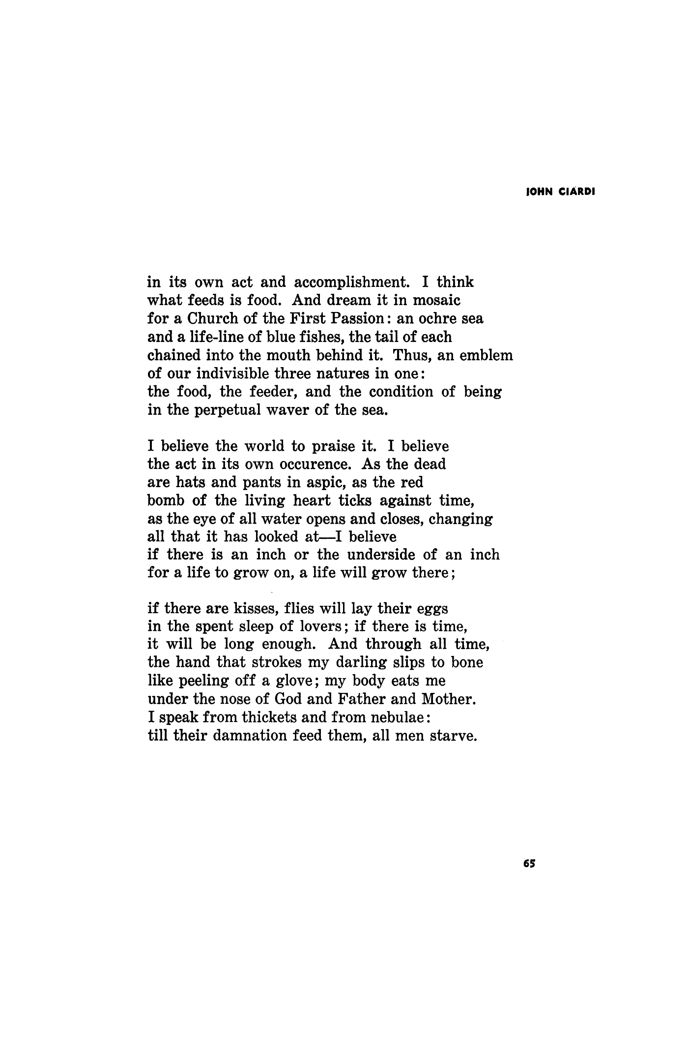 Thoughts on Looking into a Thicket by John Ciardi | Poetry Magazine