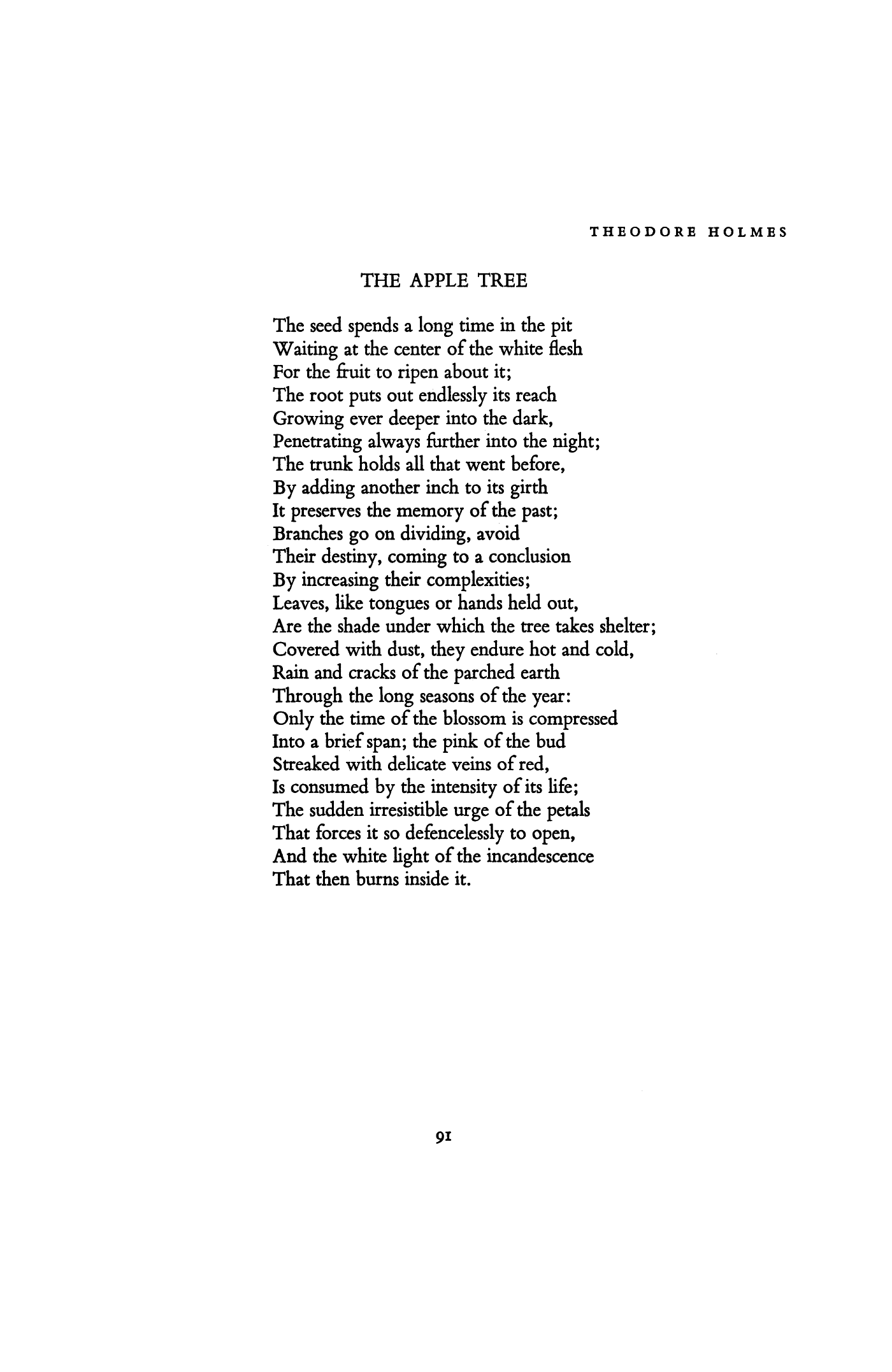 The Apple Tree By Theodore Holmes Poetry Magazine 7515
