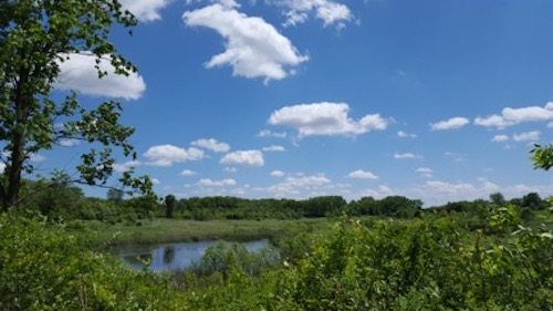 Tomorrowland. Havenwoods State Forest. Milwaukee, WI.