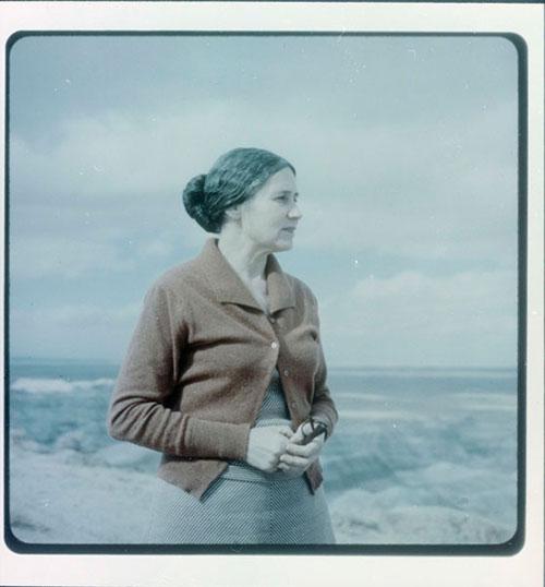 Nobel Prize-winning novelist, poet, and playwright Doris Lessing wears a brown-orange sweater and poses in front of a Southwest landscape. 1972.