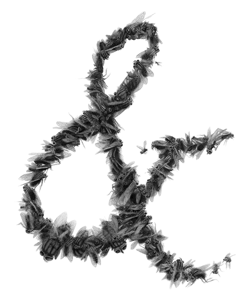 "Fly Ampersand," 2012