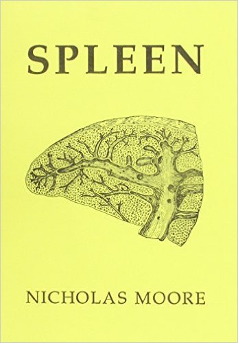 spleen