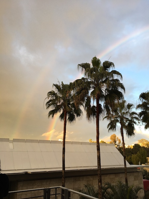 LACMA after the rain